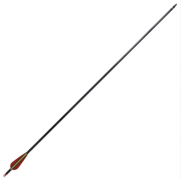 Kit Arc à Poulies Complet Pour Chasse Et Cible - 20-70 Lbs Ajustable, Droitier, Avec Flèches Et Sac