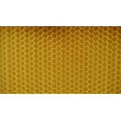 Včelí rámky automatické FLOWing HIVE 7 ks(5)