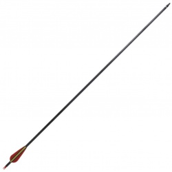 Nastavitelný kladkový luk Dreamer Black 20-70 lbs s kompletním příslušenstvím 30"(6)