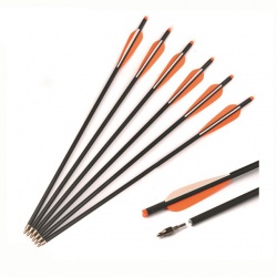 Šíp karbonový 22" do kuše s výměnným hrotem 9mm x 56cm
